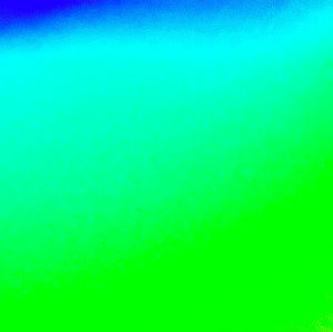 Meet your Posher, Abigail